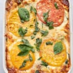 Heirloom Tomato Lasagna in a baking dish after cooked