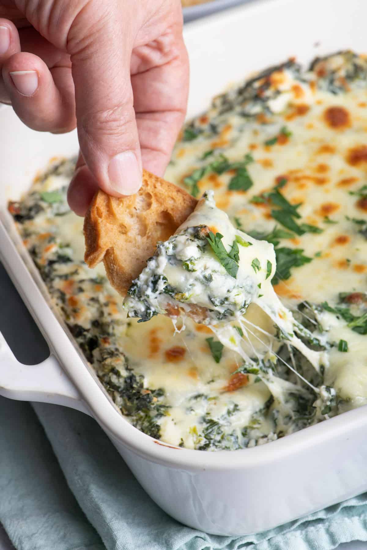 This Skinny Spinach Dip is a rich creamy dip that uses cottage cheese instead of sour cream. As compared to sour cream, cottage cheese has less fat and more protein making it a healthy substitute that doesn't sacrifice on the texture or the taste. This is a wonderful dip to serve with vegetables, toast or crackers!