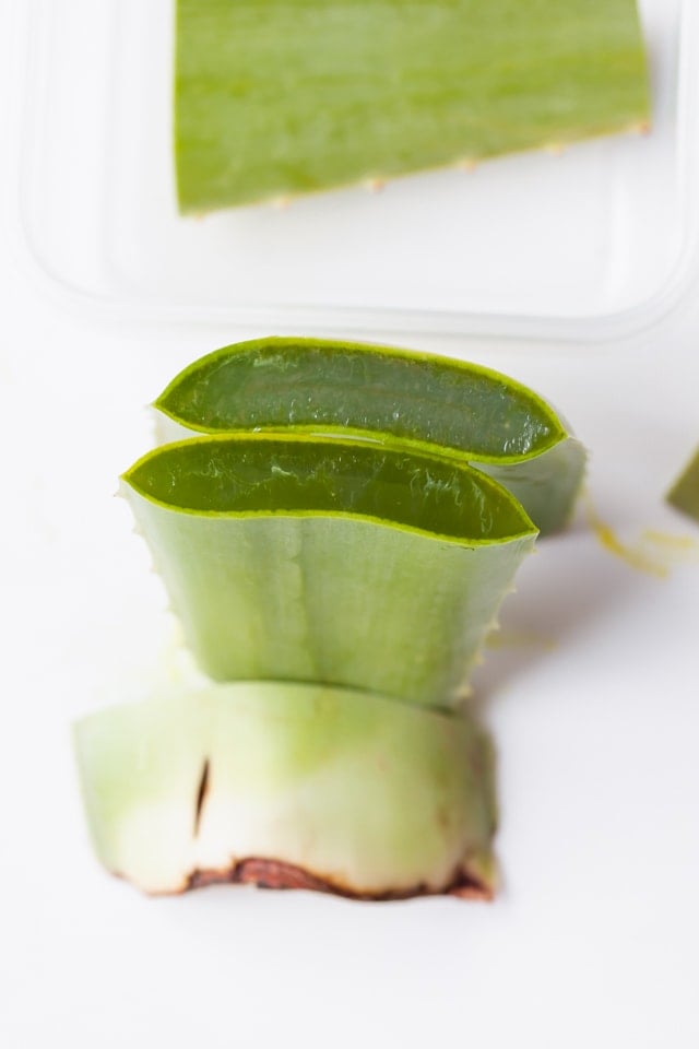 Aloe leaf cut in half