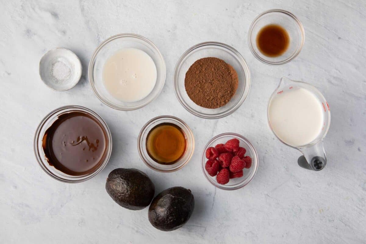 Ingredients to make dessert recipe: tempered chocolate, salt, almond milk, maple syrup, cocoa powder, vanilla extract, fresh raspberries, and cream (for whipping).