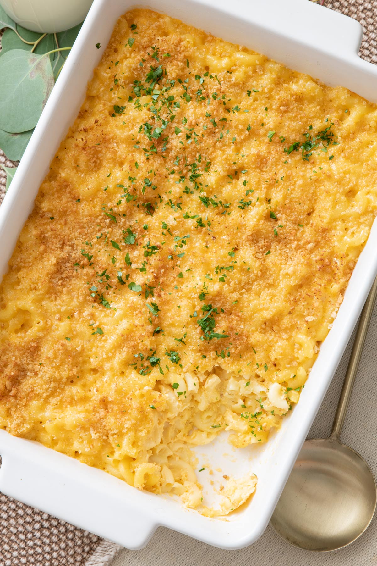 Large baking dish of baked macaroni cheese with breadcrumb topping, fresh herb garnishing, a serving spoon next to it with a scoop removed from dish.