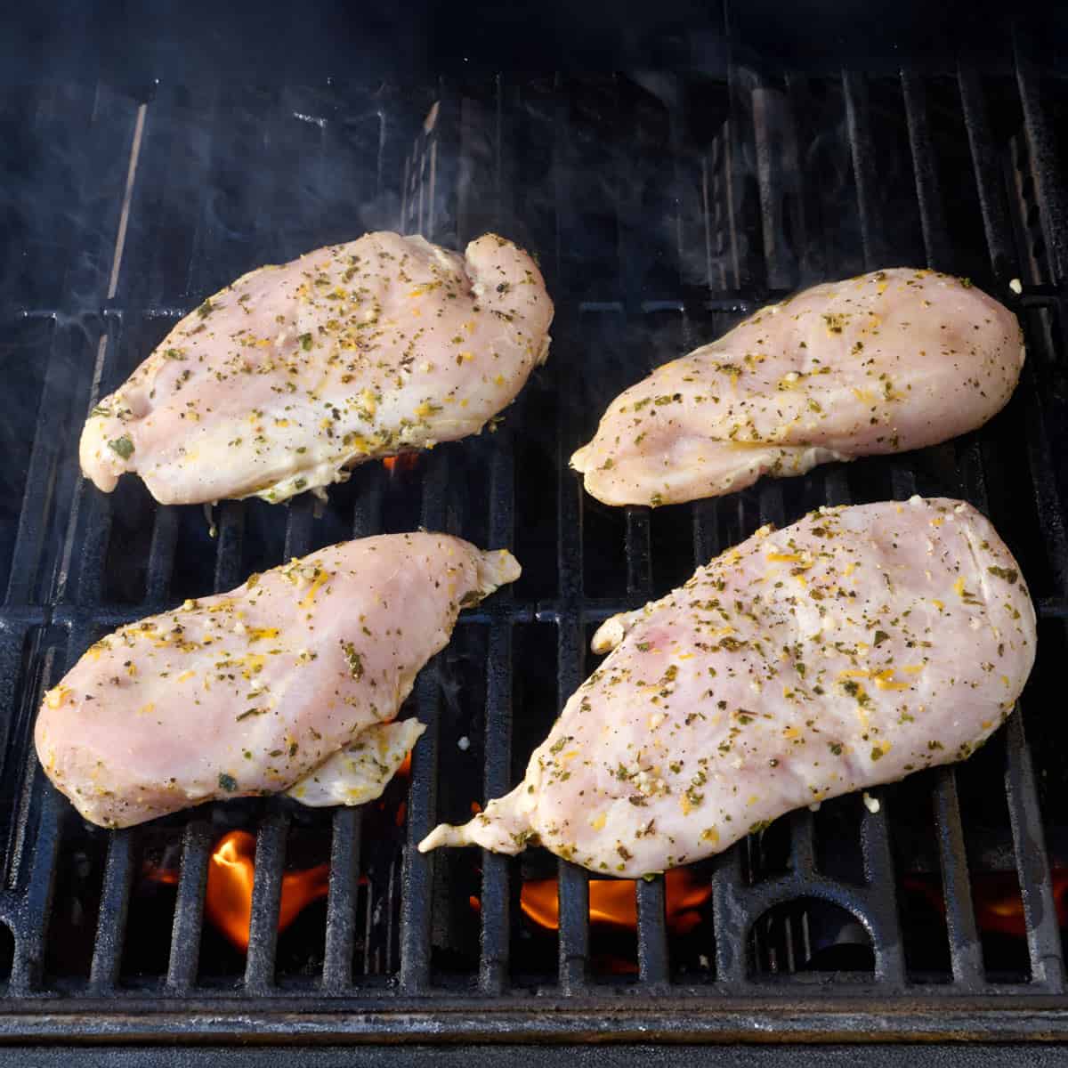 Marinated chicken breasts on the outdoor grill.