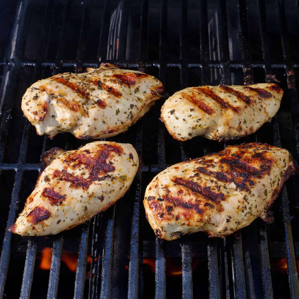 Chicken on the grill after flipping and cooking through with grill marks.