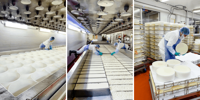Tour of the Roth Cheese creamery