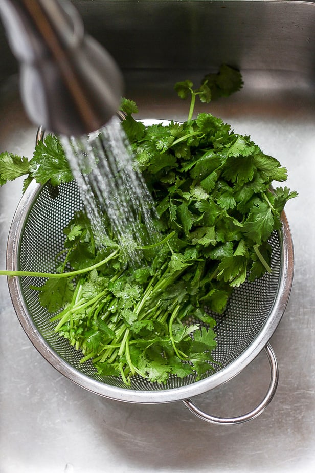 washing cilantro in a sieve 