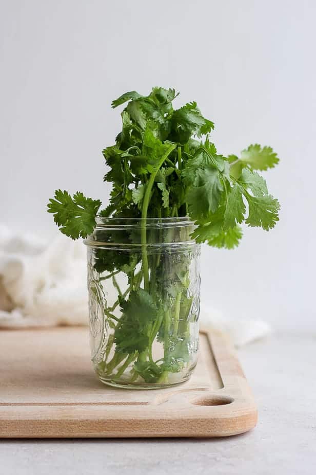 glass jar with cilantro in it