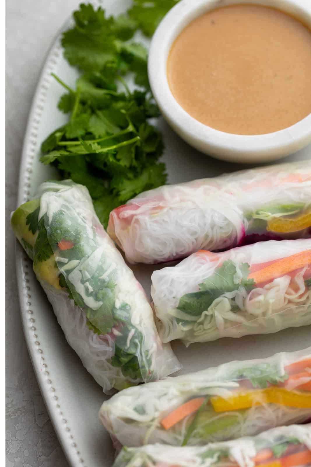 Close up shot of the vegetable spring rolls on plate with cilantro