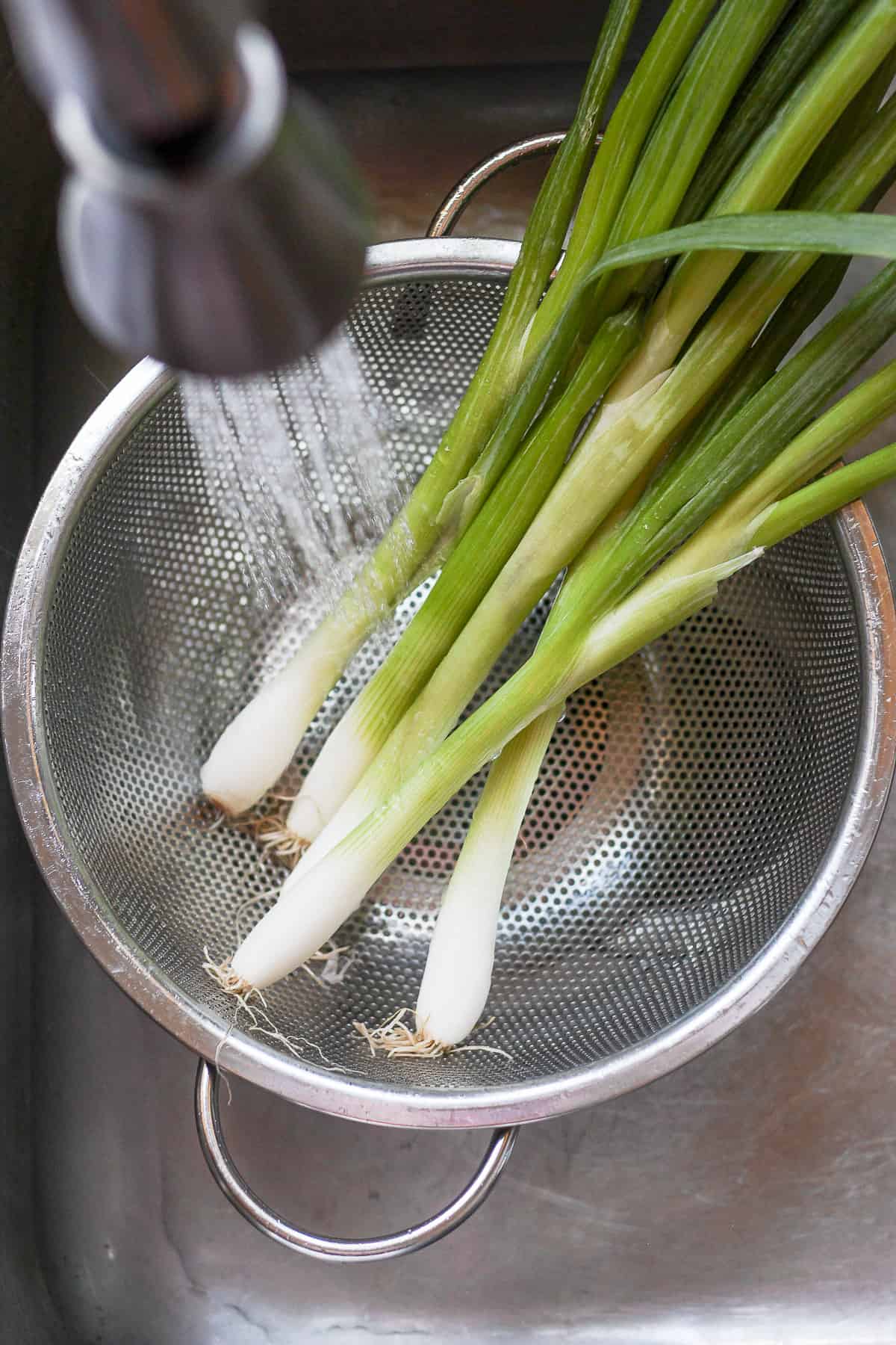 Washing green onions in colander with water in sink