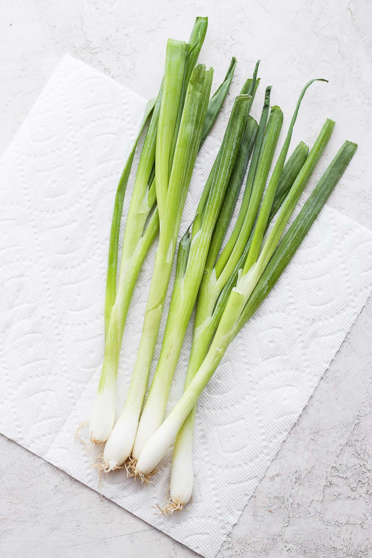 Green onions on paper towel to dry before chopping