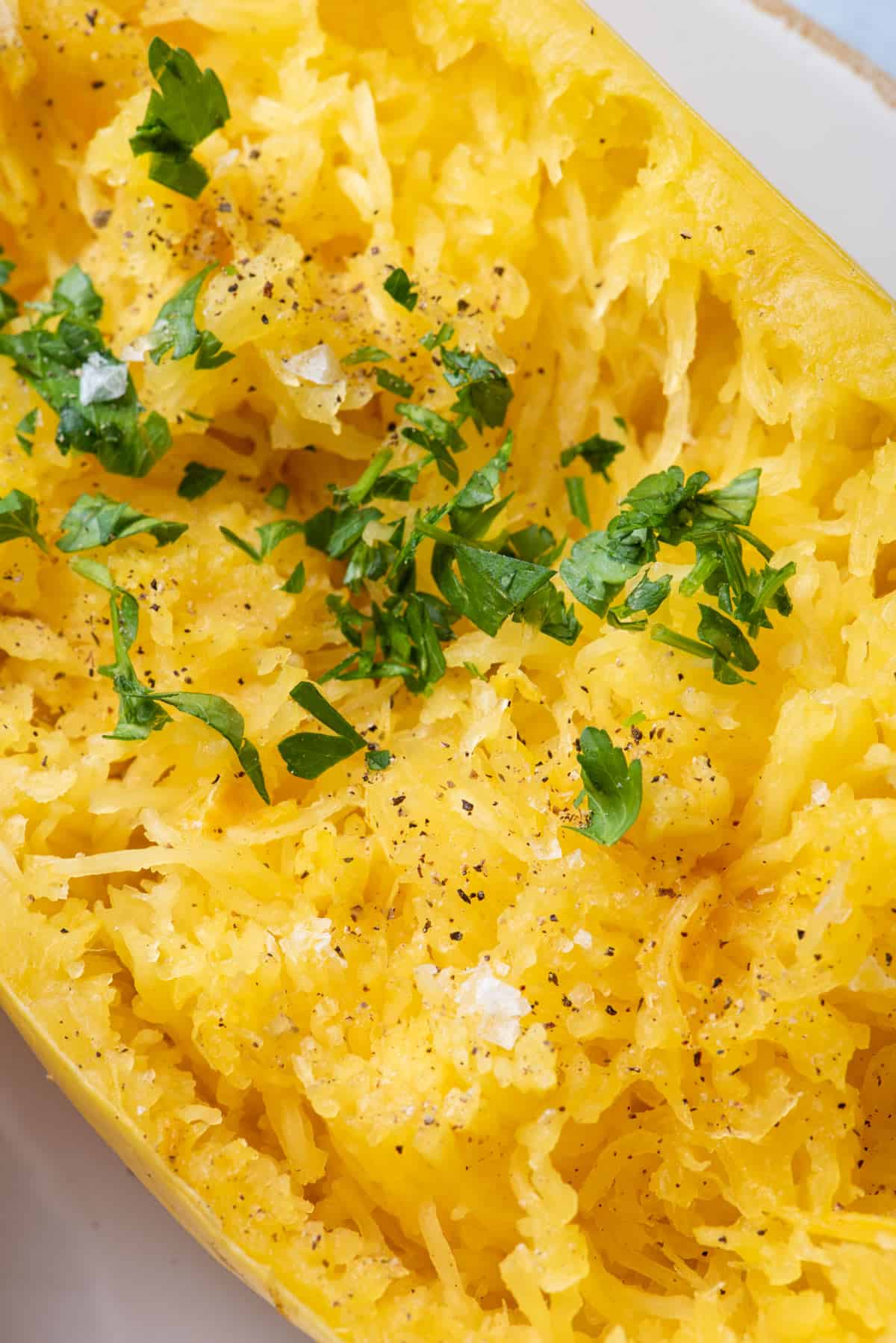 Close up of spaghetti squash to show the texture