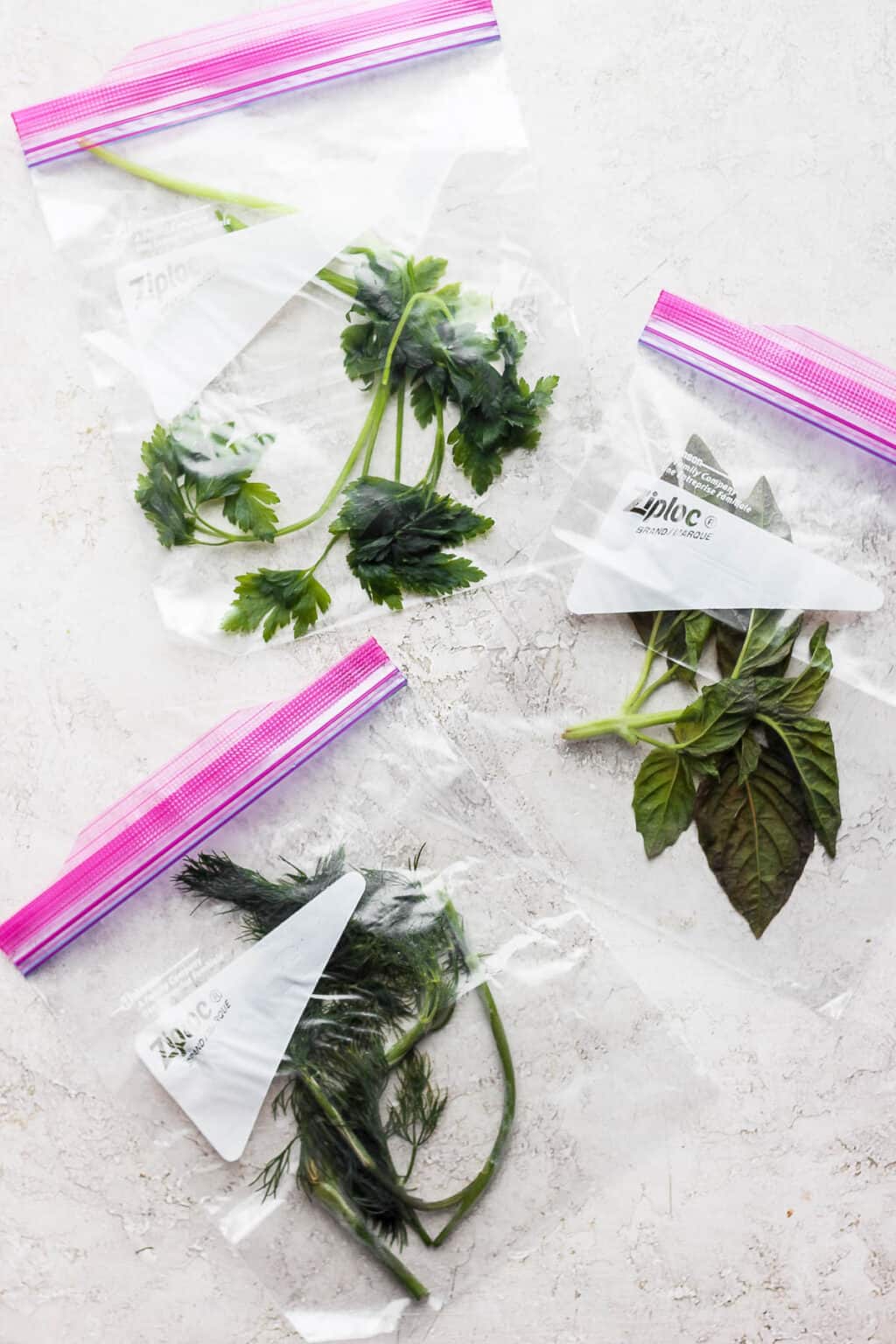 How to Freeze Fresh Herbs {2 Methods!} Feel Good Foodie