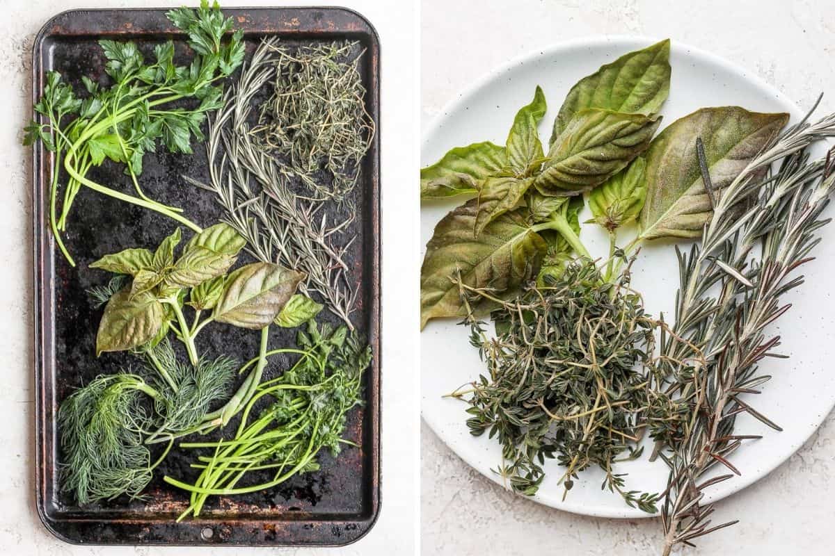 2 image collage to show herbs on stems before and after freezing