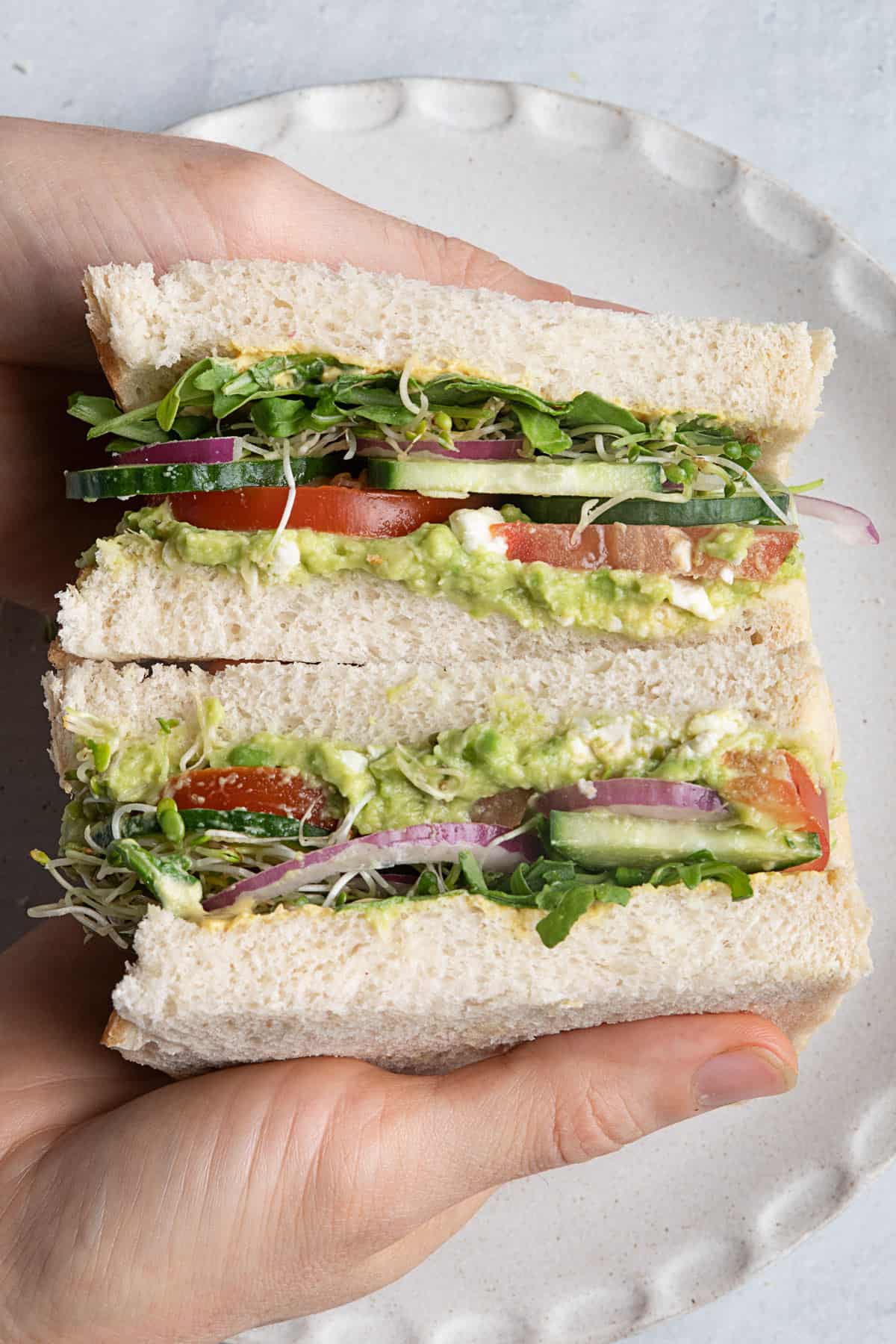 Lunch Box Veggie Sandwich