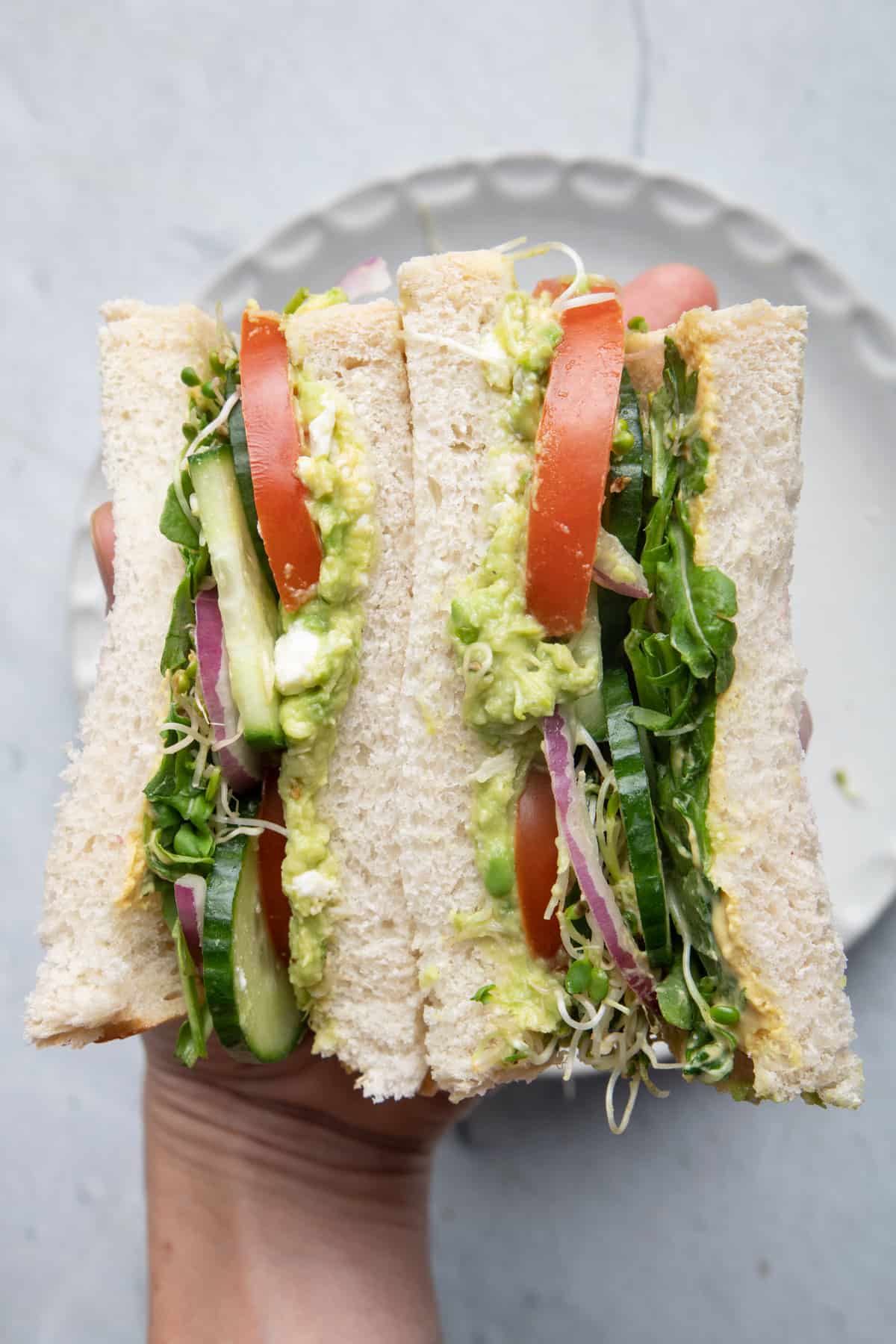Close up shot of vegetarian avocado sandwich