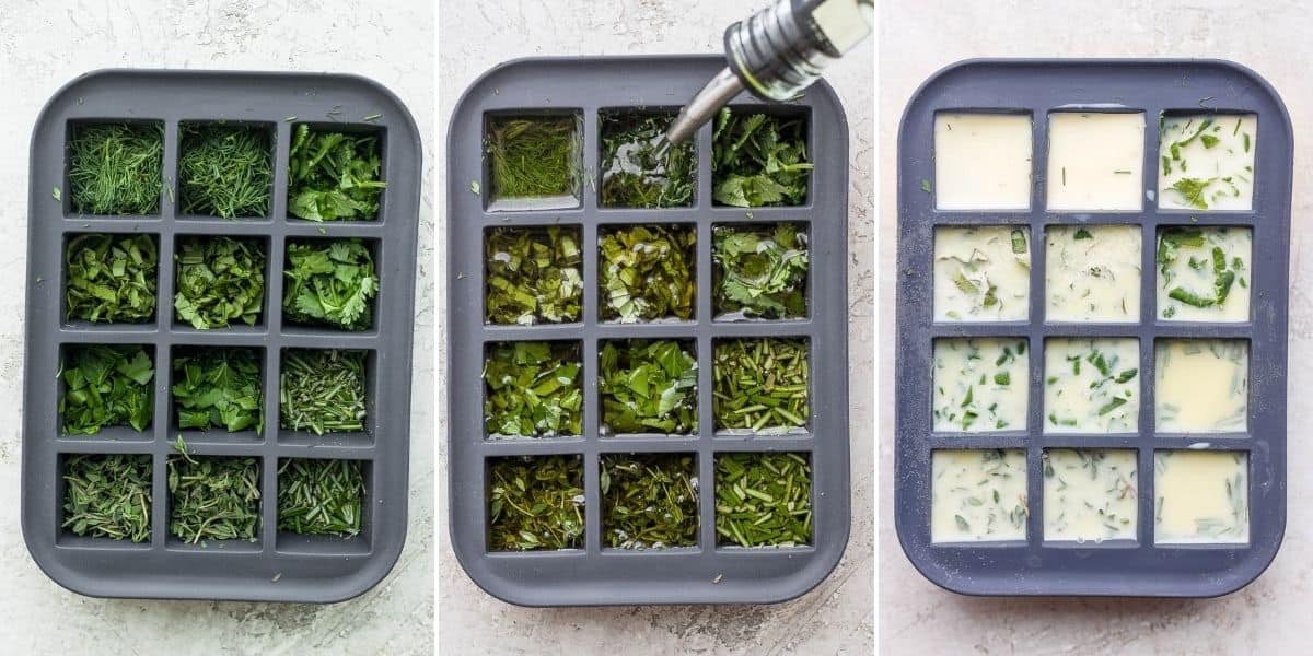 3 image collage to show how to freeze fresh herbs