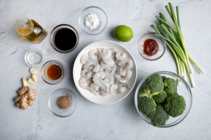 Shrimp and Broccoli Stir Fry {Best Sauce!} - Feel Good Foodie