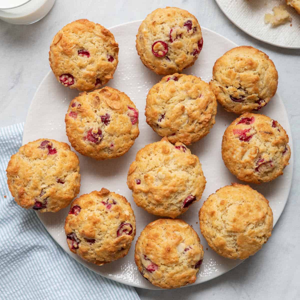 Cranberry Muffin Recipe