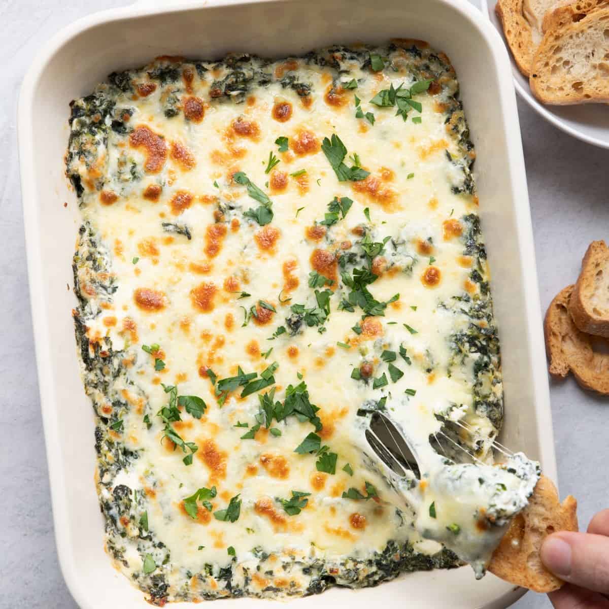 Spinach Dip Recipe-image