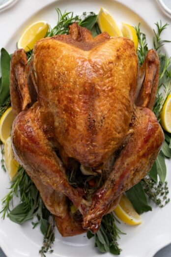 Thanksgiving Turkey.