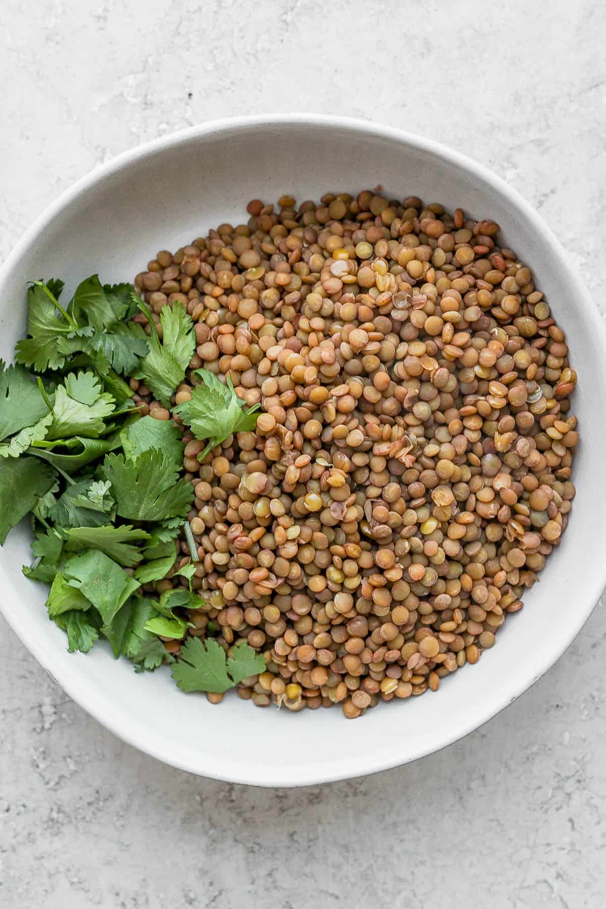 Bowl of cooked brown lentils garnished with cilantro