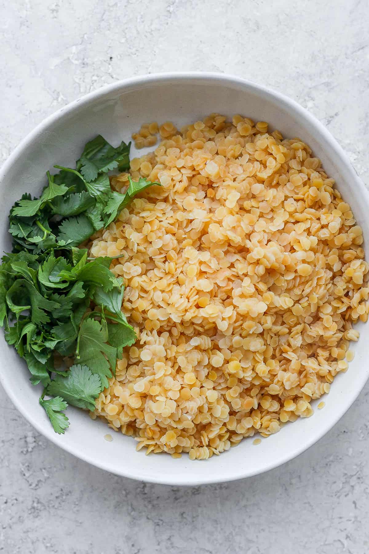 Bowl of cooked red lentils garnished with cilantro