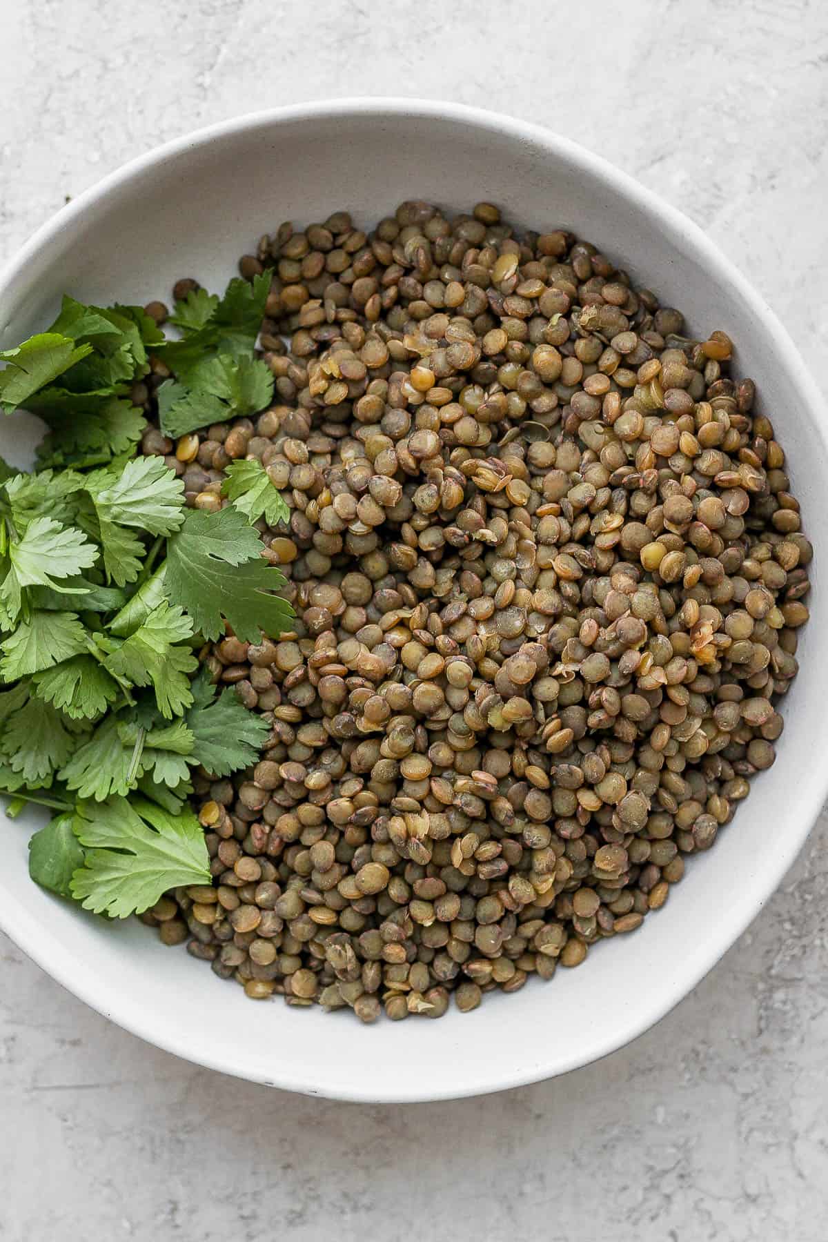 Bowl of cooked green lentils garnished with cilantro