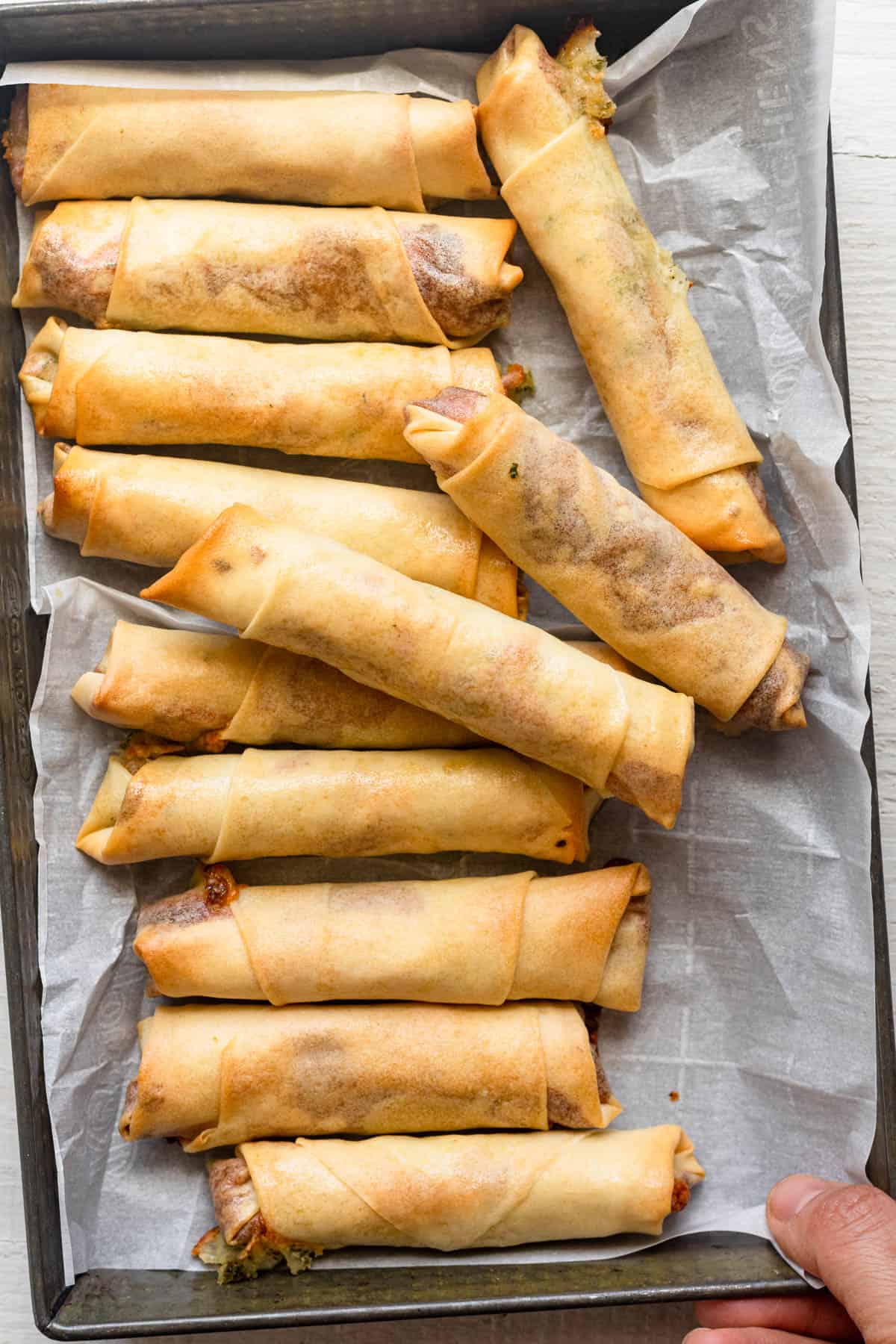 Tray of crispy cheese rolls baked in the oven