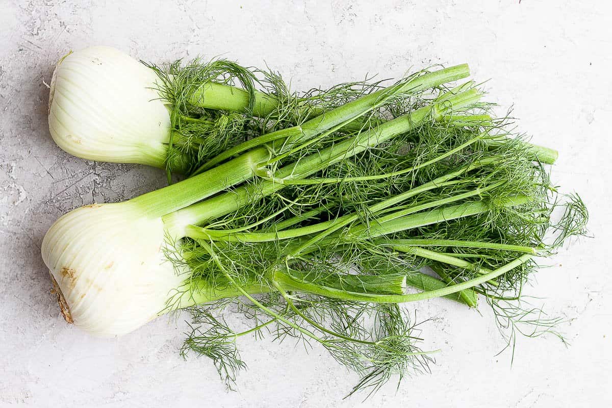 Two large fennel bulbs with their fronds on white surface