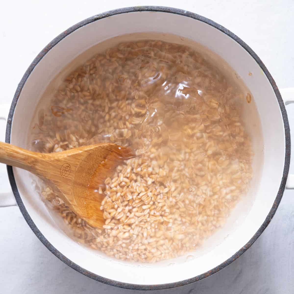 Stirring farro.