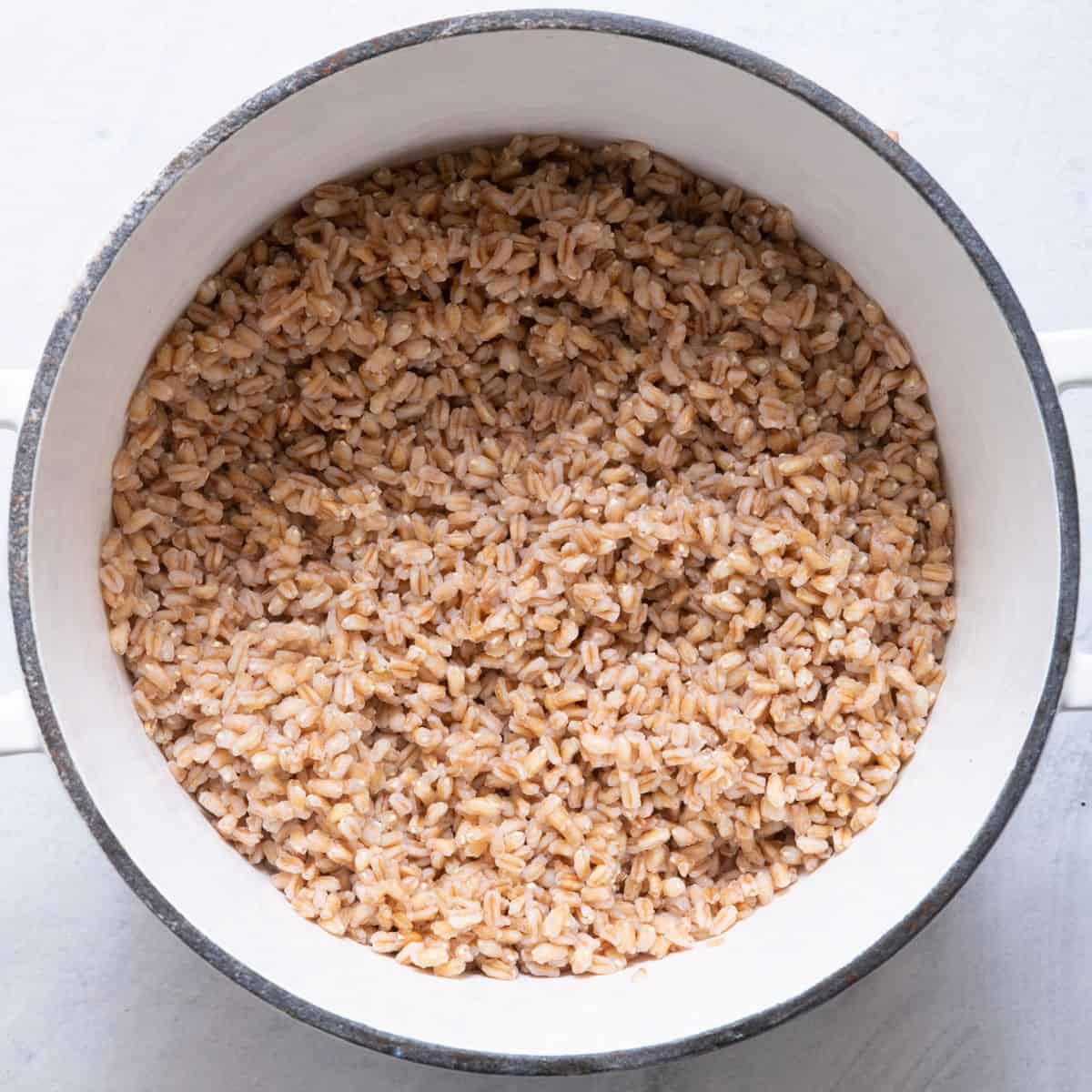 Cooked, strained farro in the pot.