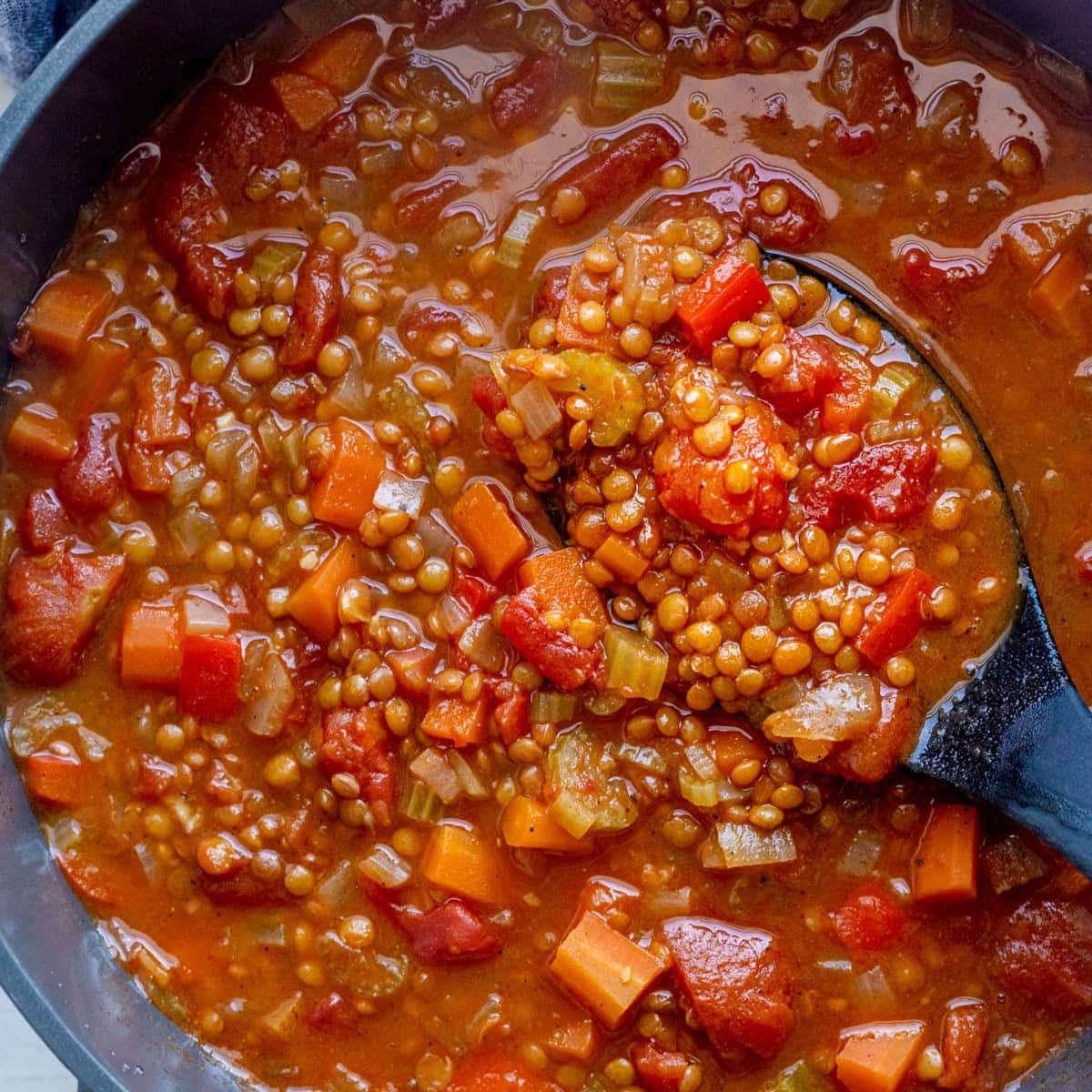 Tomato Lentil Soup.