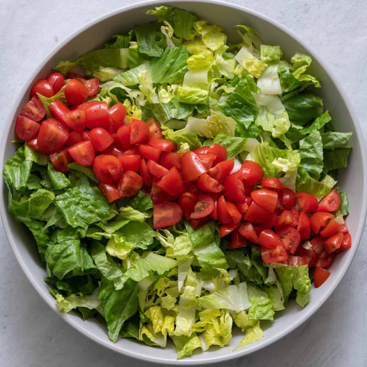 Tomatoes added on top of the lettuce.