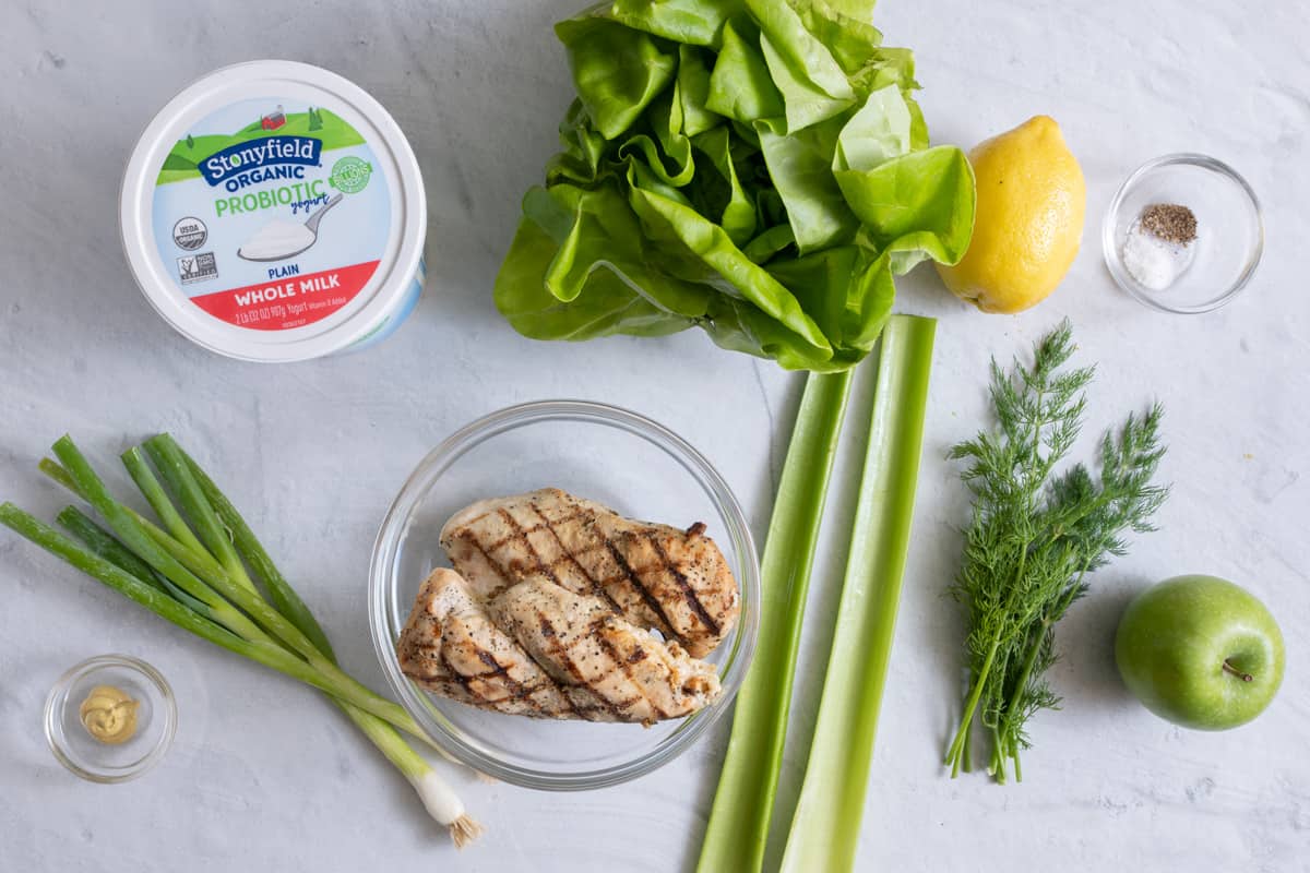 Recipe ingredients: Stonyfield yogurt, green onions, 2 cooked chicken breasts, butter lettuce, whole lemon, 2 celery stalks, fresh dill sprigs, whole green apple and spices.