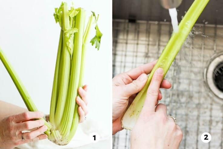 how-to-regrow-vegetables-and-herbs-from-kitchen-scraps-better-homes