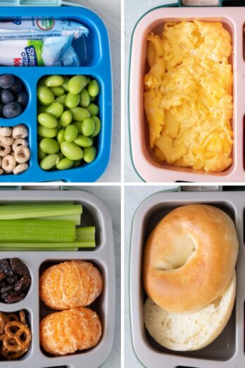 Roundup section image of collected recipes for toddler lunchbox ideas.