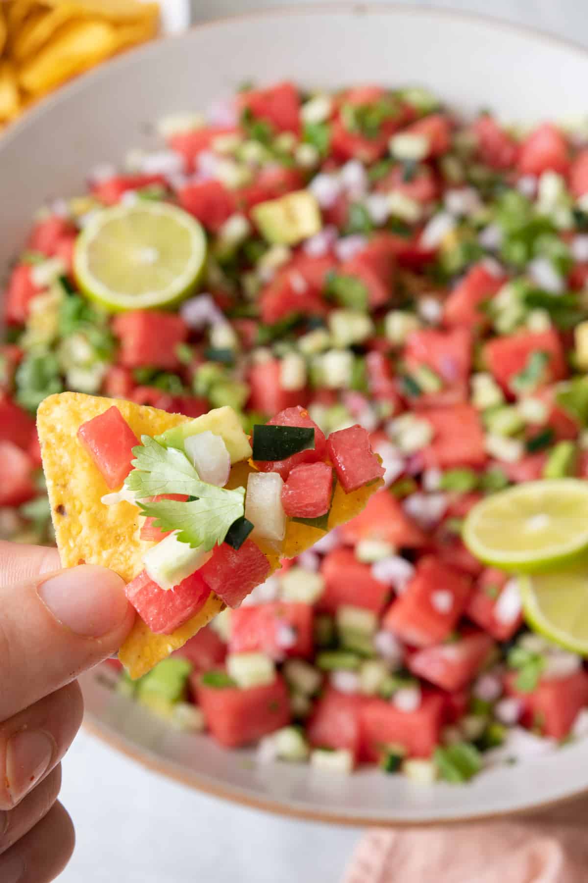 Hand holding tortilla chip loaded with watermelon salsa with large bowl of salsa below.