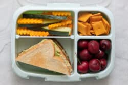 40+ Kids Lunch Box Ideas - Feel Good Foodie