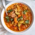 Orzo Vegetable Soup.