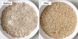 How to Roast Sunflower Seeds {Oven & Stovetop Method} - FeelGoodFoodie