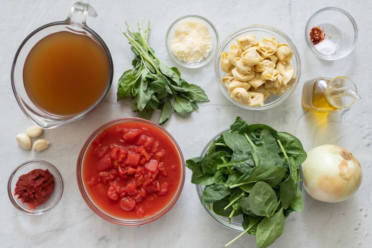 Ingredients for soup recipe: broth, garlic, tomato paste, fresh basil, diced tomatoes, parmesan cheese, tortellini, spinach, spices, oil, onion.