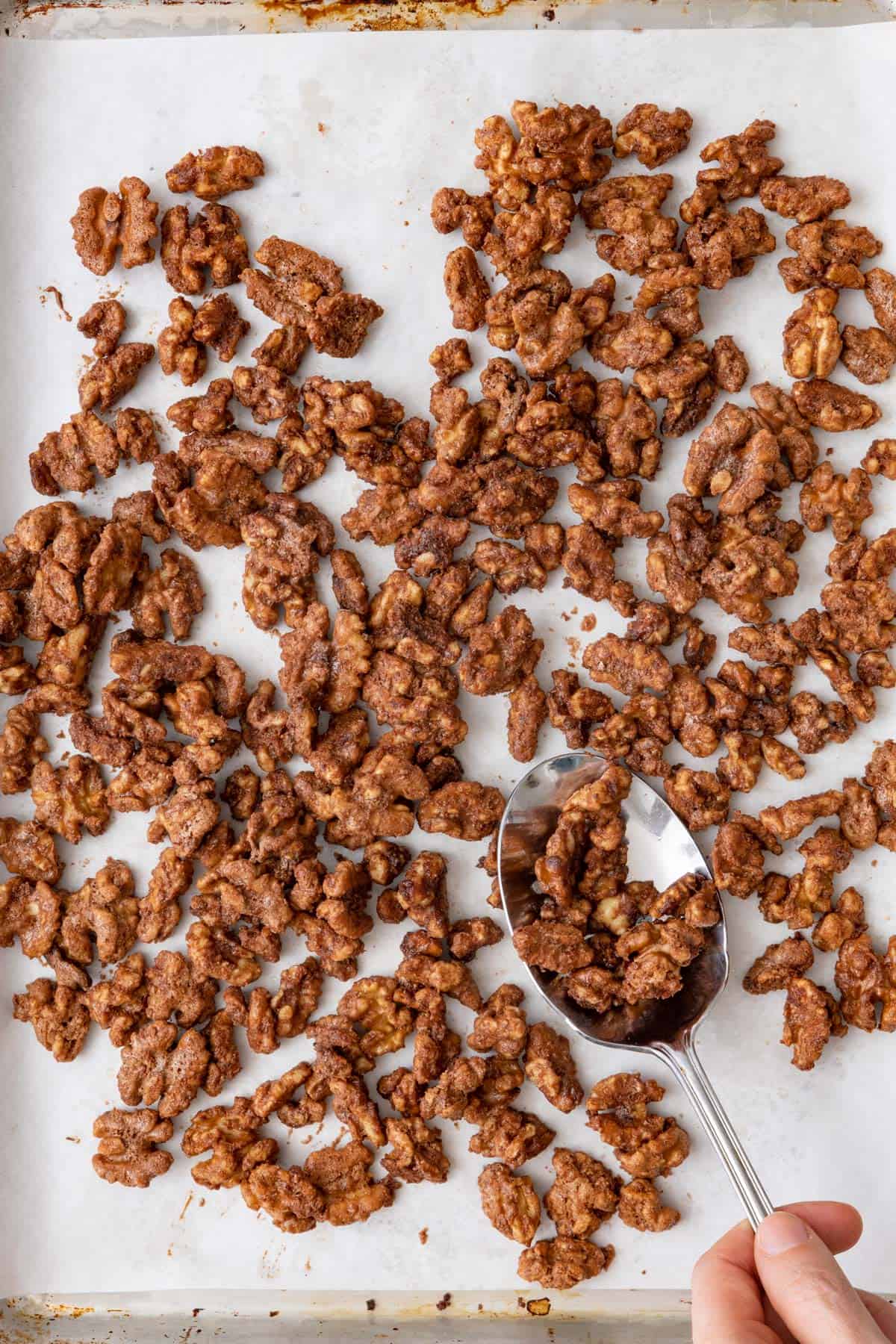Spoon scooping up candied walnuts from parchment lined baking sheet.