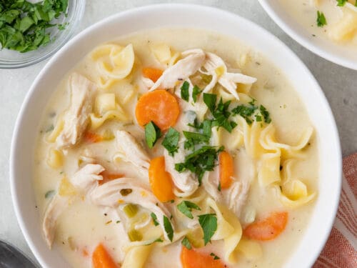 Creamy Chicken Noodle Soup - Together as Family