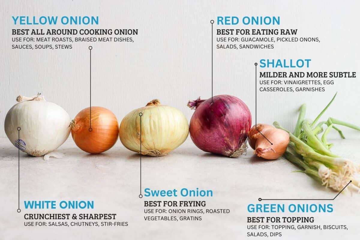 6 Popular Types of Onions With Uses {& Recipes!} - Feel Good Foodie