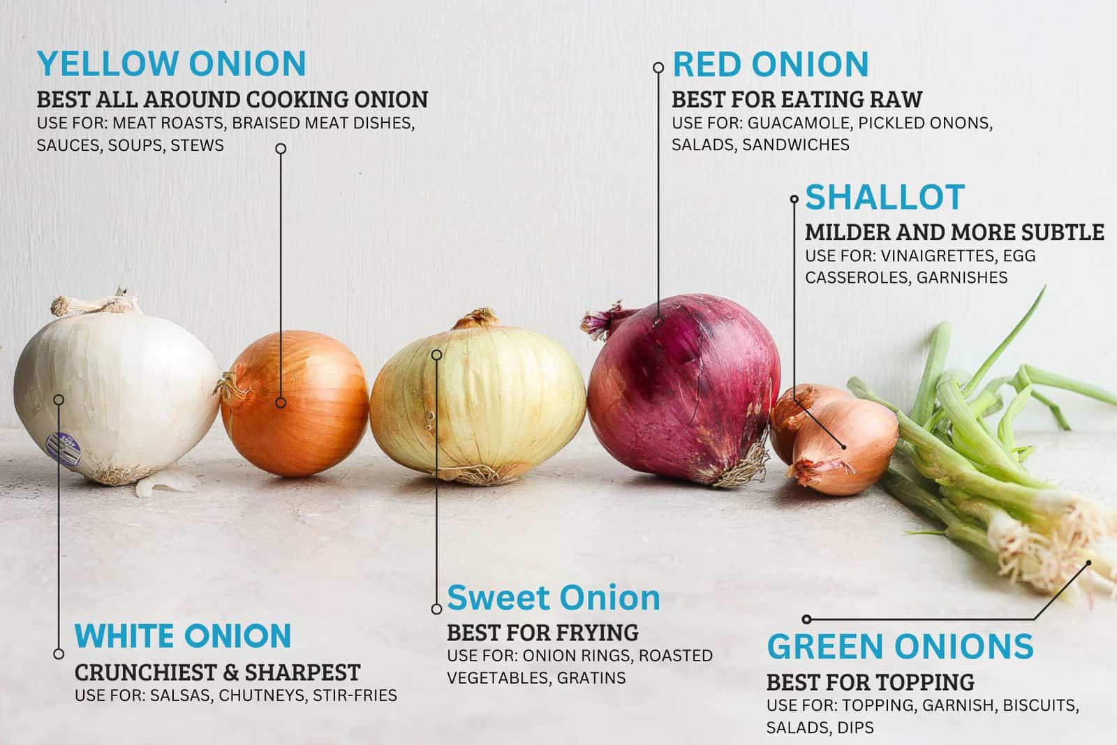 Type of onions chart listing the different kinds and their uses.