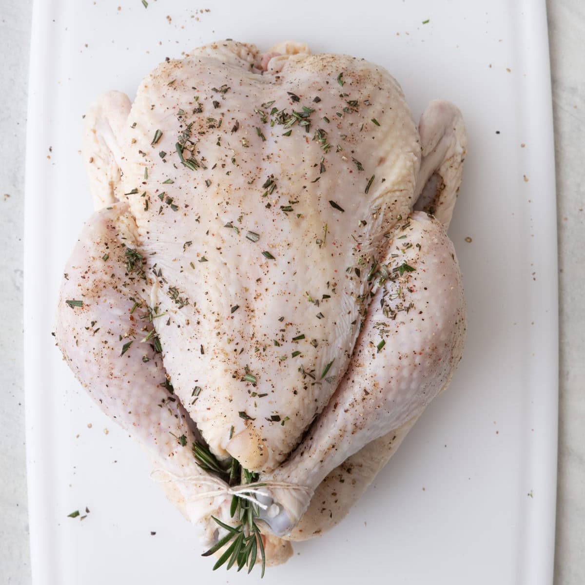 Legs tied with twine and wings tucked back.