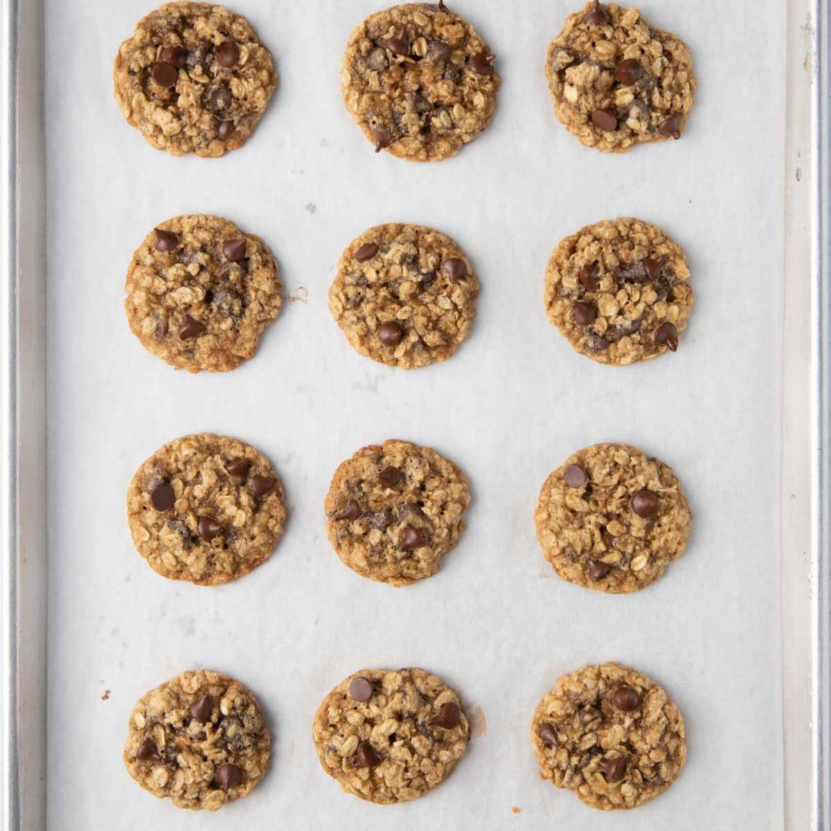 Baked chocolate chip oatmeal cookies on a parchment-lined baking sheet.
