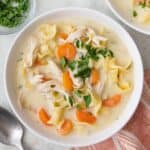 Creamy Chicken Noodle Soup.