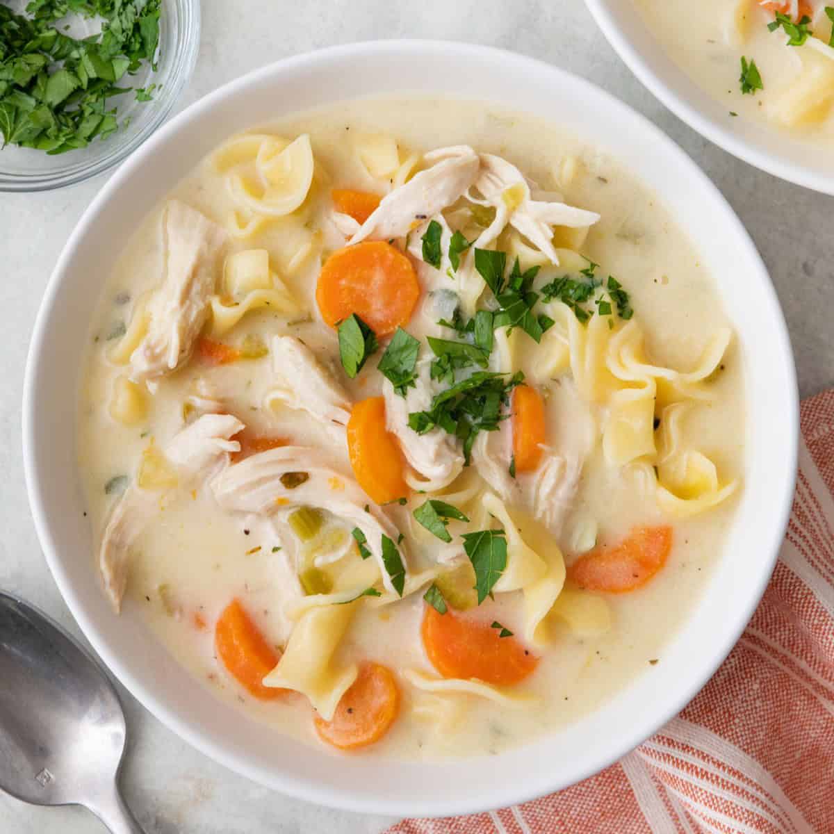 Creamy Chicken Noodle Soup.