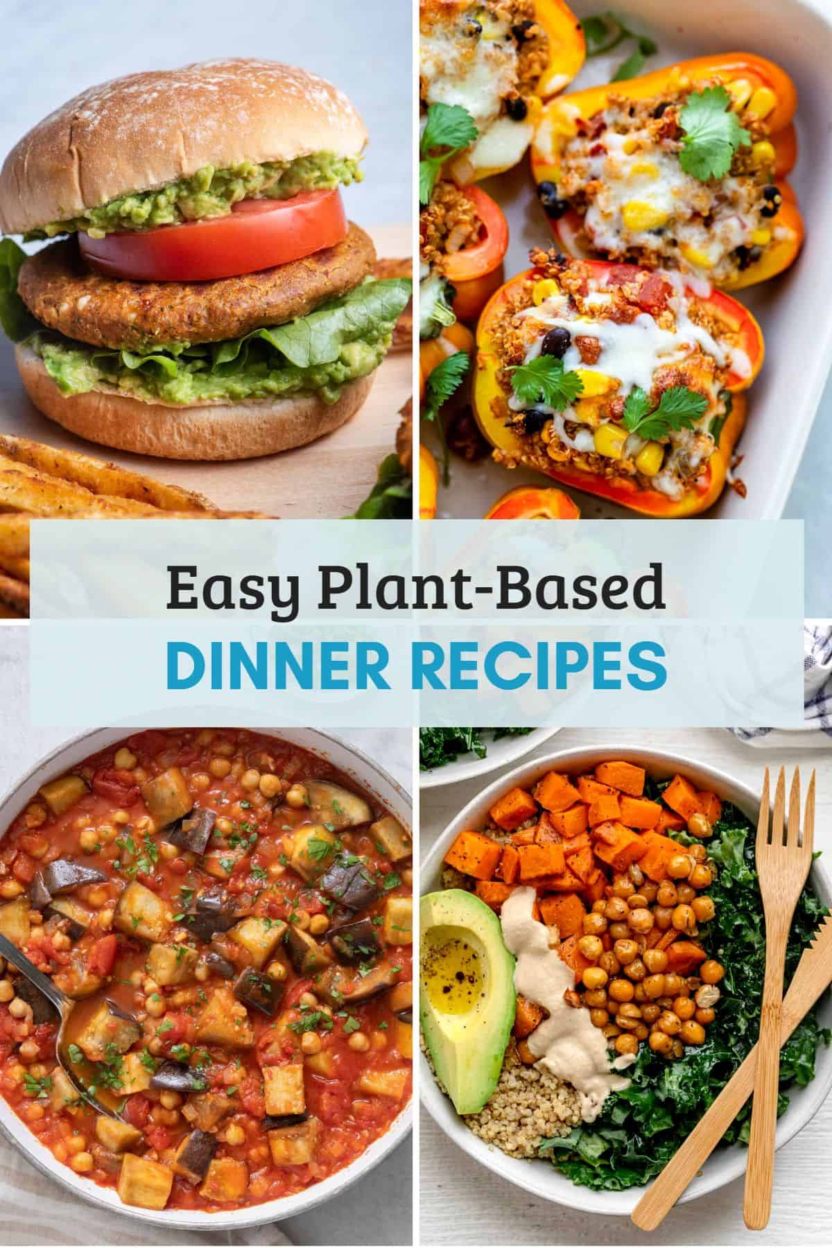 Plant-based diet recipes