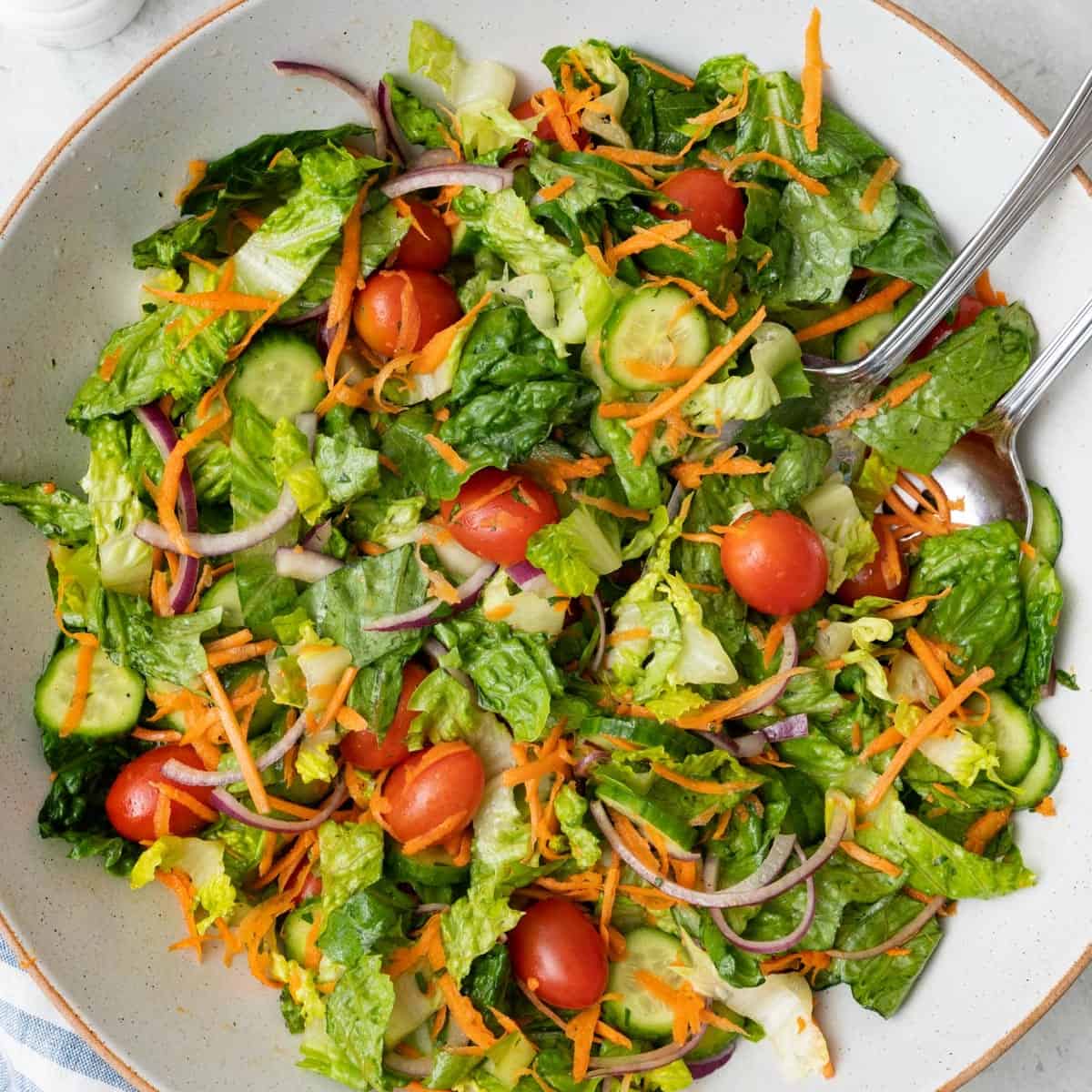 65  Summer Salad Recipes